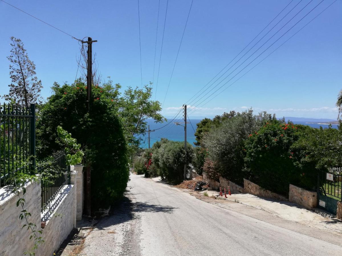 Althea Holiday Studio Agia Marina  Exteriér fotografie